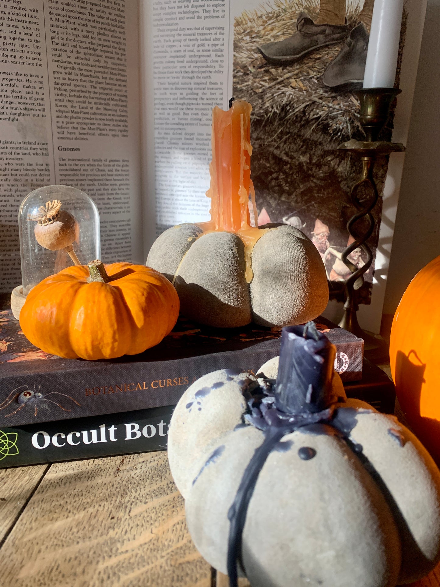 Pumpkin Workshop - 18th October 2023