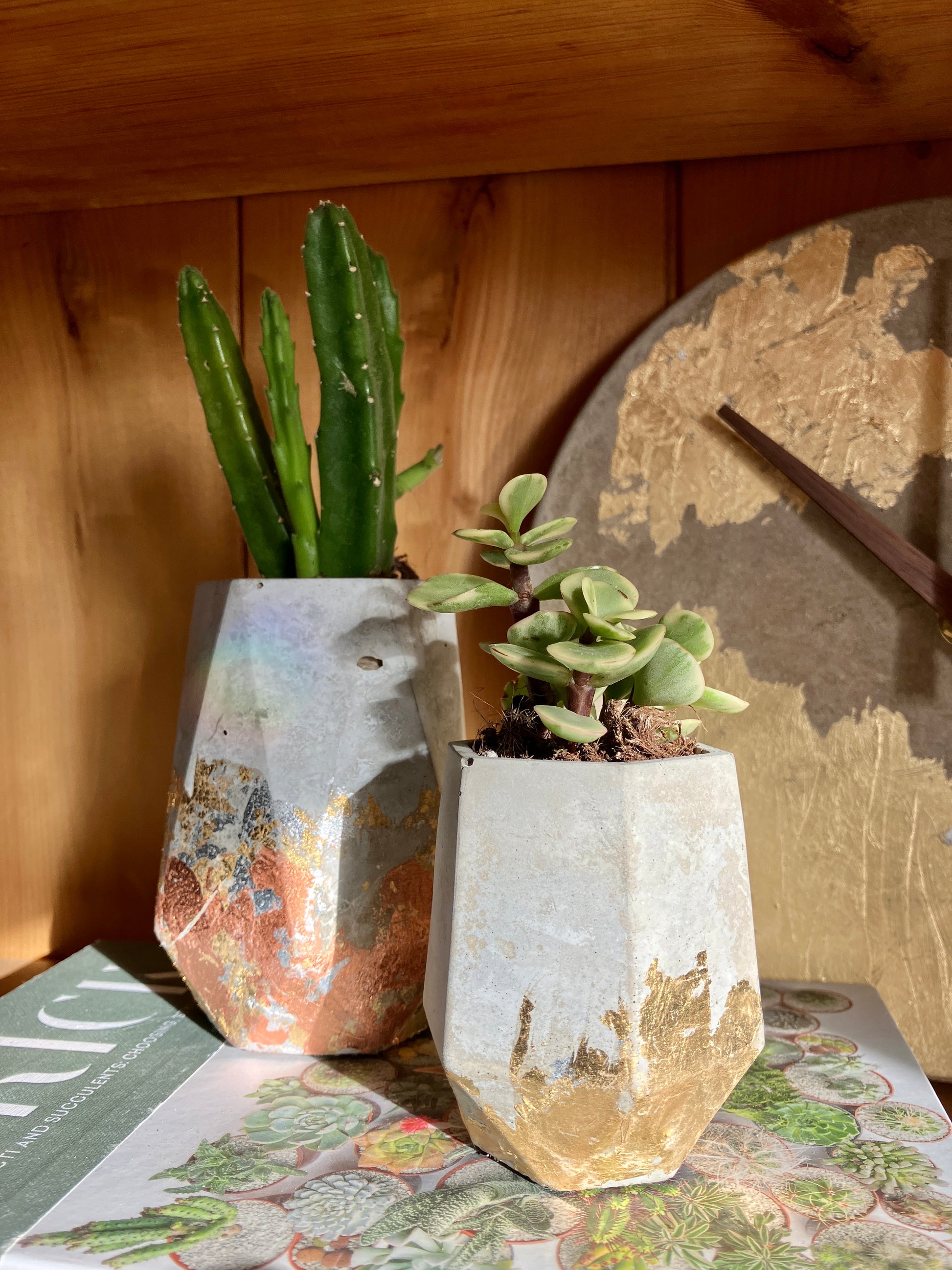 large geometric plant pot Geometric Pot- Large